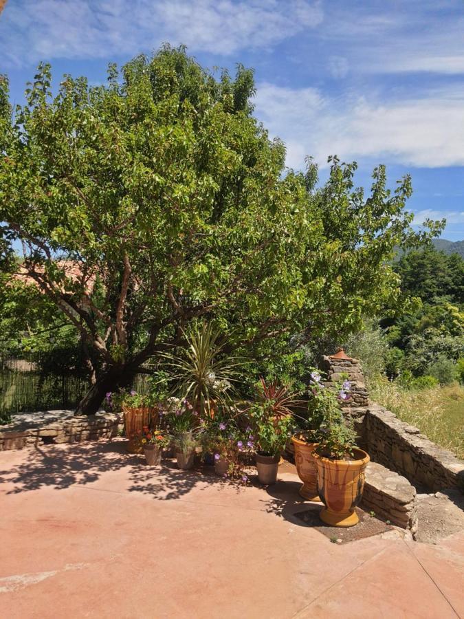 Apartment Ventoux